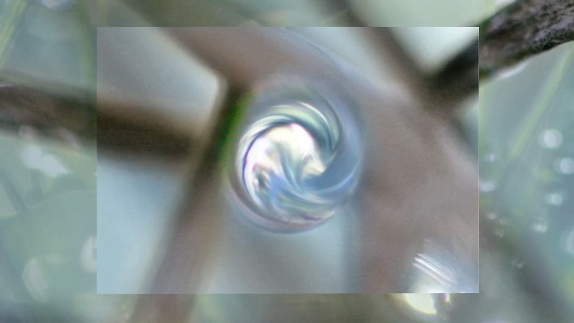 Motion design & Animation